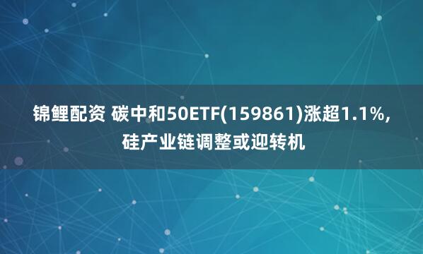 锦鲤配资 碳中和50ETF(159861)涨超1.1%, 硅产业链调整或迎转机